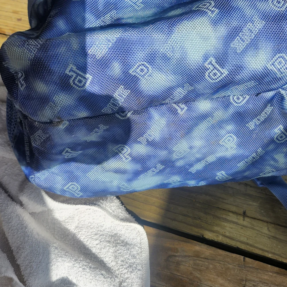 PINK Victoria's Secret Blue Backpack - Picture 8 of 9